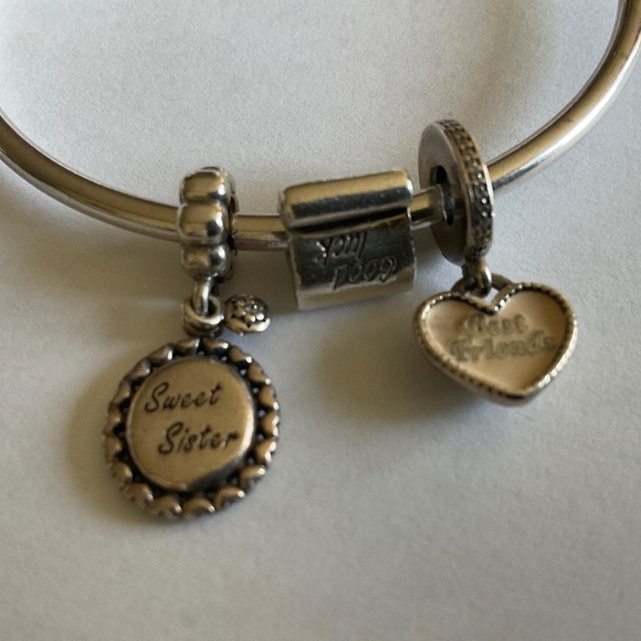 Pandora bangle and 7 pandora charms - Picture 2 of 5